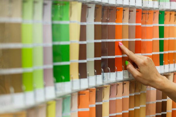 color-palette-guide-of-paint-samples-catalog-2025-01-09-02-02-22-utc
